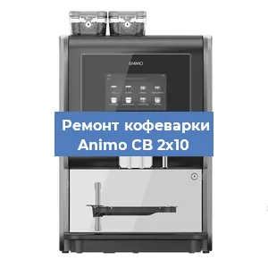 Чистка кофемашины Animo CB 2x10 от накипи в Екатеринбурге